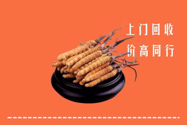 收购行情：加查县回收散虫草